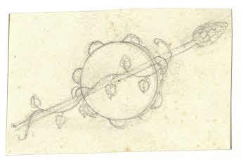 Visualizza l'immagine "FD D 1206"